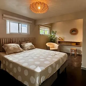 Studiocuracao Apartamento Grote Berg
